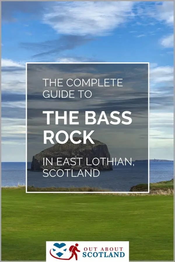 Bass Rock, Scotland: Things to Do