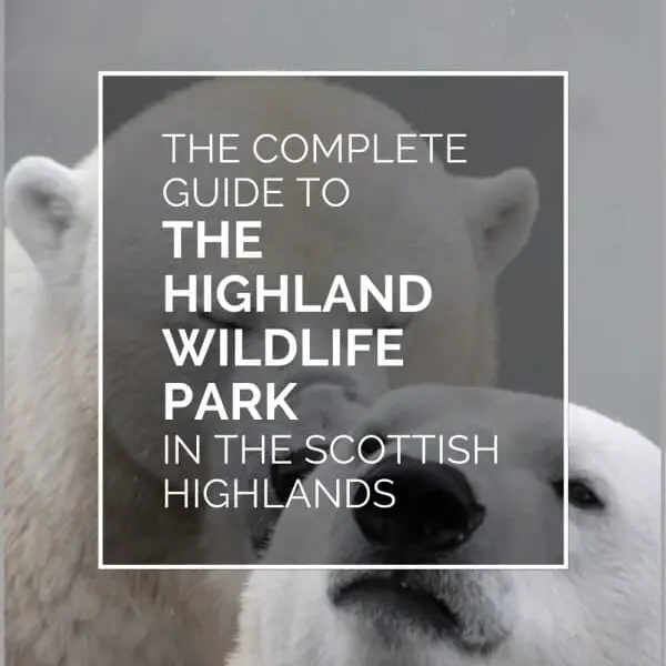 Highland Wildlife Park