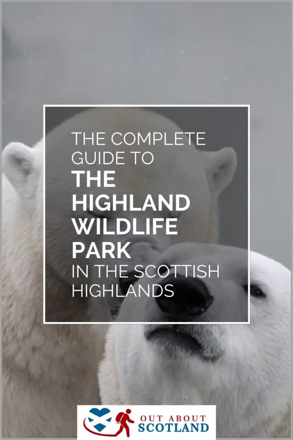 Highland Wildlife Park Visitor Guide