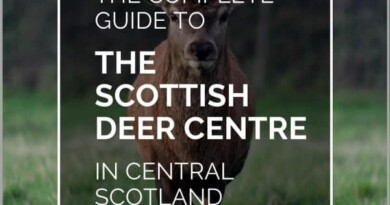 Scottish Deer Centre