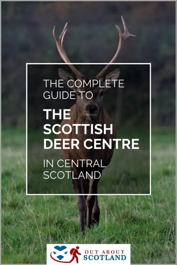 The Scottish Deer Centre Visitor Guide