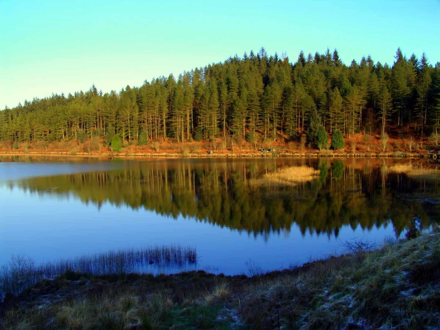 Galloway Forest Park e1583489979146