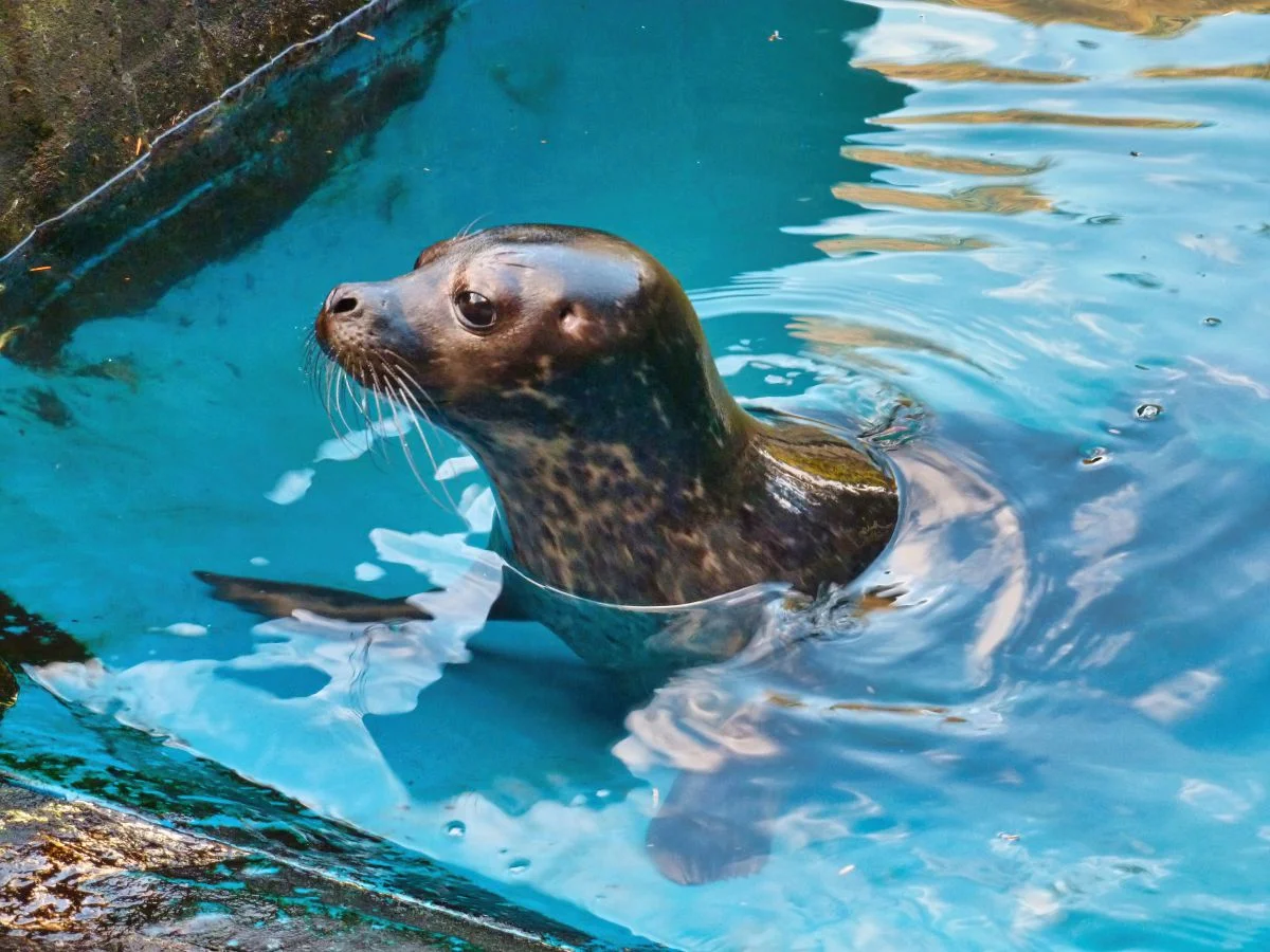 St. Andrews Aquarium