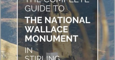 wallace monument pin