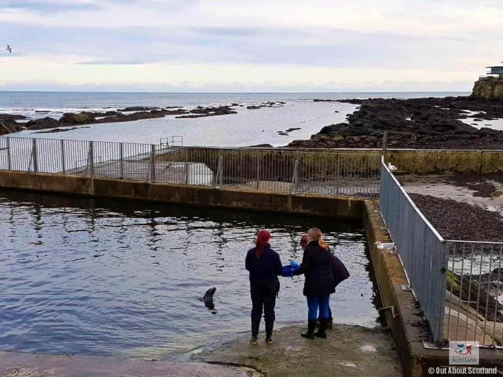 The Complete Guide to Visiting St. Andrews Aquarium in East Central