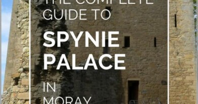 spynie palace pin