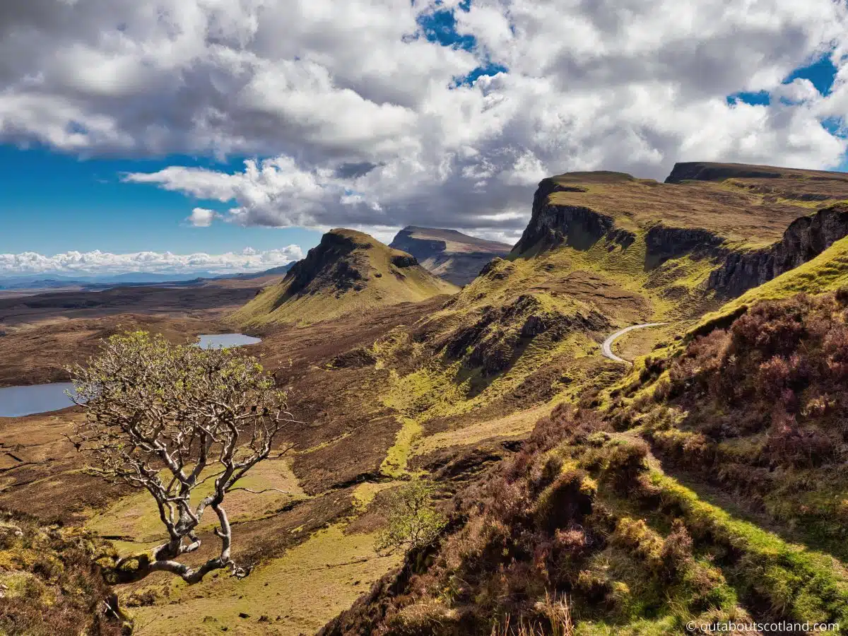 How to Tour Scotland by Train: Tips & Advice for Tourists | Travel Tips ...