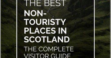 no tourists scotland pin