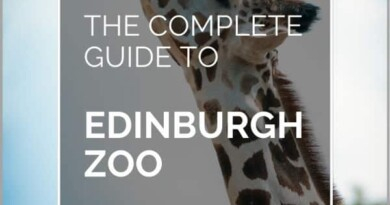 edinburgh zoo pin