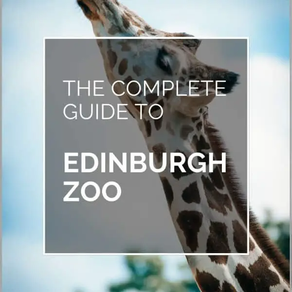 edinburgh zoo pin
