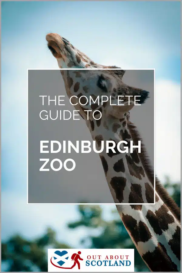 Edinburgh Zoo Visitor Guide