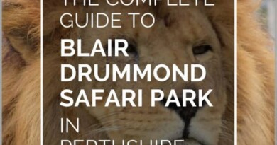 blair drummond safari park pin