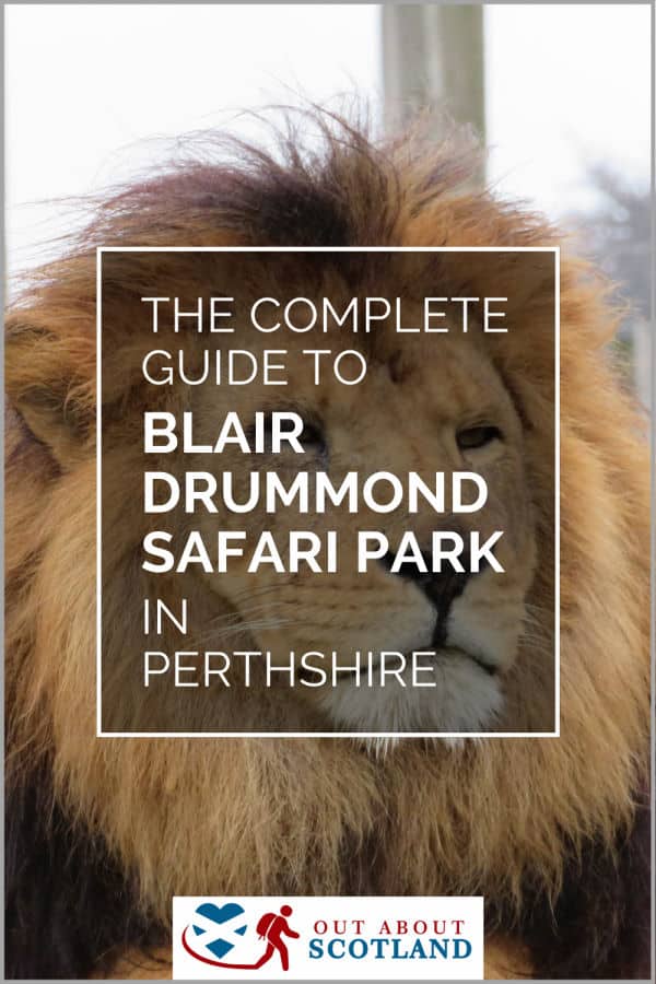 Blair Drummond Safari Park Visitor Guide