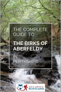 birks of aberfeldy pin