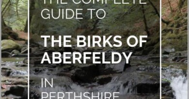 birks of aberfeldy pin