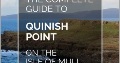 quinish point pin