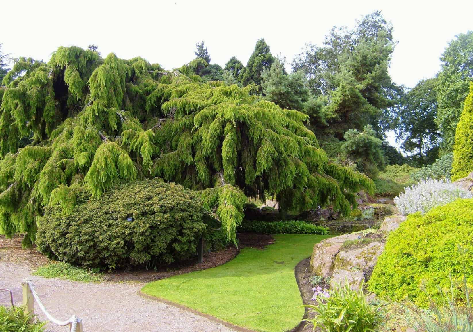 Edinburgh Royal Botanic Gardens