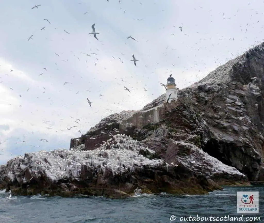 bass rock trip