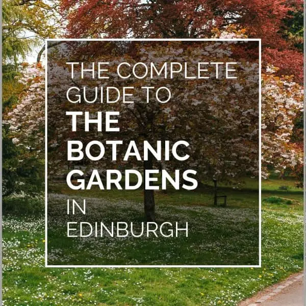 botanic garden edinburgh pin