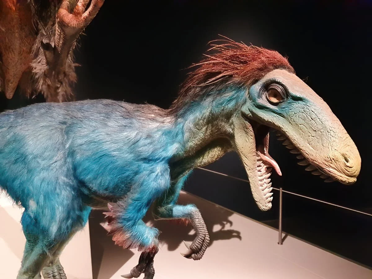 National Museum Scotland