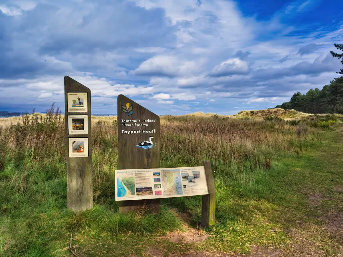 Tentsmuir NNR