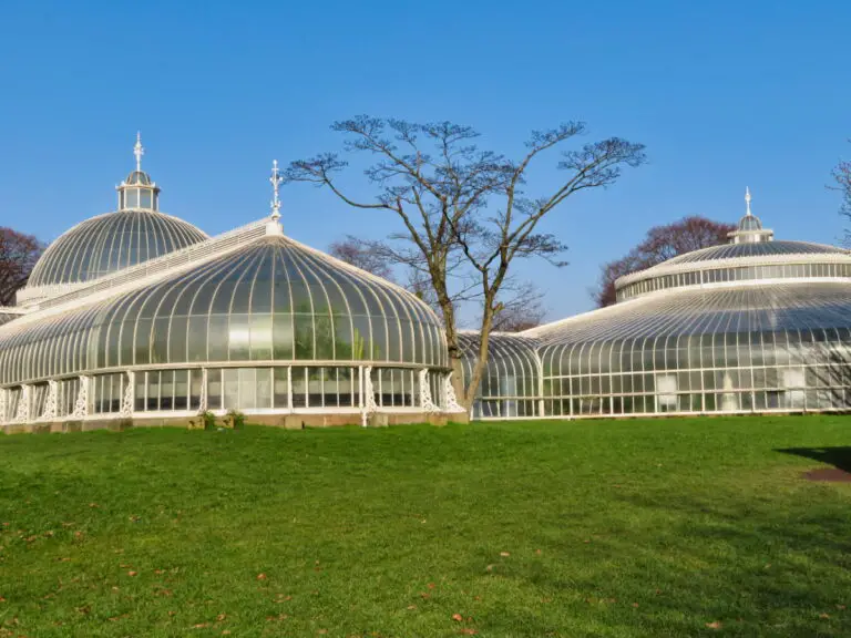 Glasgow Botanic Gardens Visitor Guide | Glasgow West End