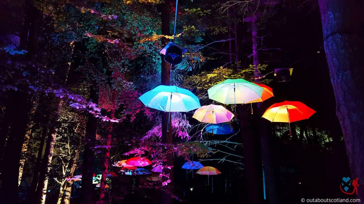 The Enchanted Forest