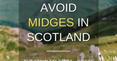 midges in scotland
