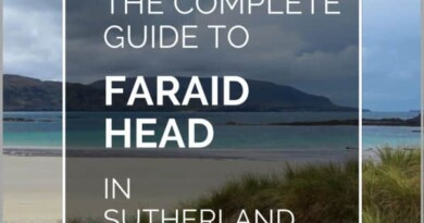 faraid head pin