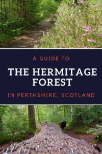 The Hermitage Pinterest