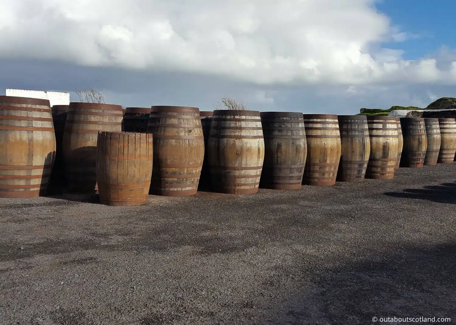 islay whisky barrels