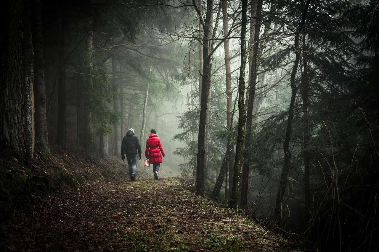 couple forest walk
