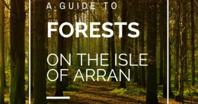 Arran Forests