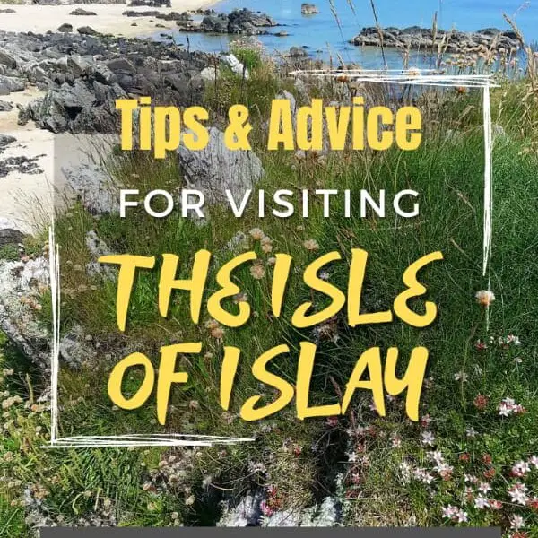 Advice Visit Islay pin