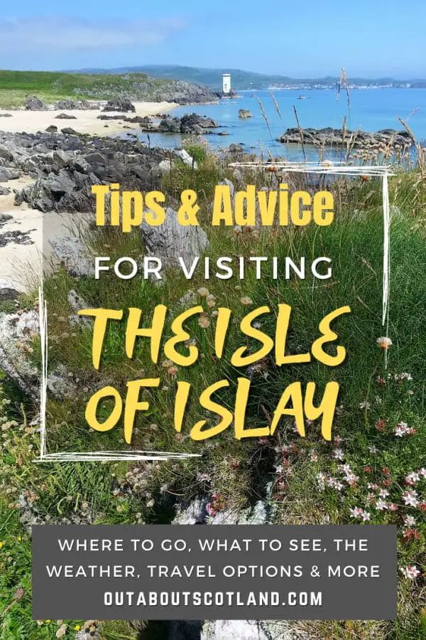 Advice Visit Islay pin
