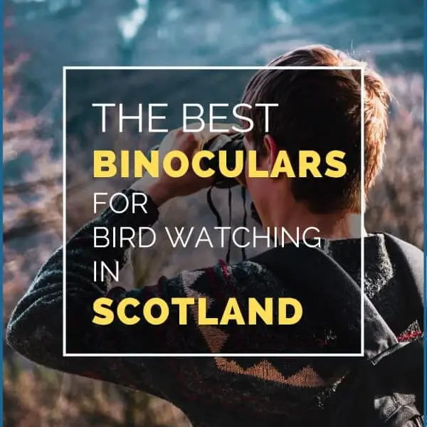 Best Binoculars Scotland