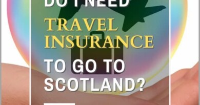 Travel Insurance Pin