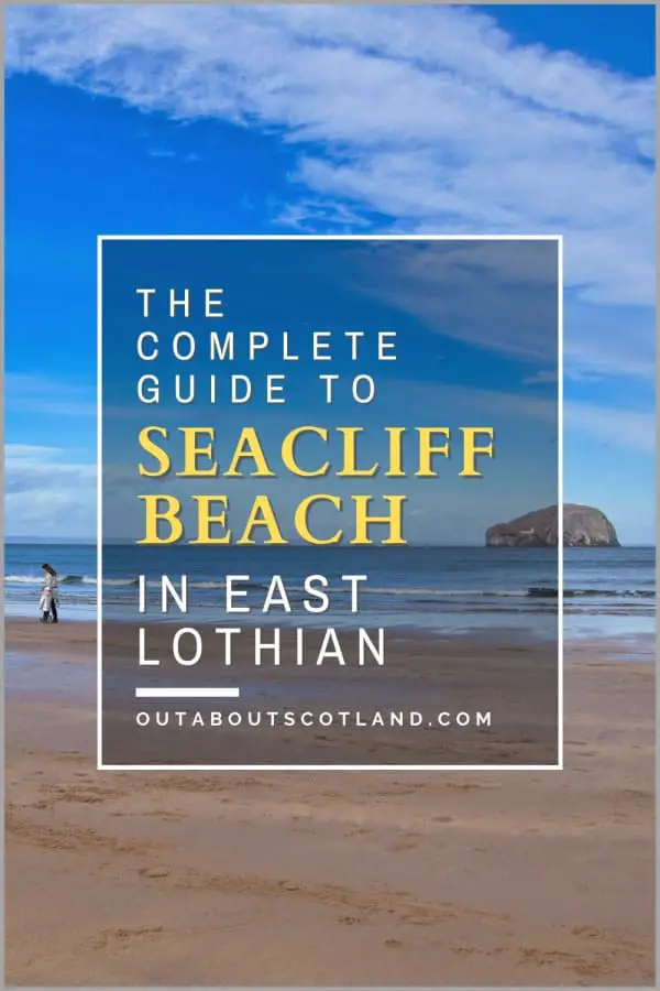 Seacliff Beach Visitor Guide