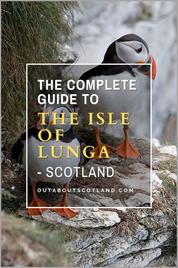Why Is the Isle of Lunga a Nature Lover’s Dream Destination?