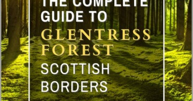 Glentress Forest