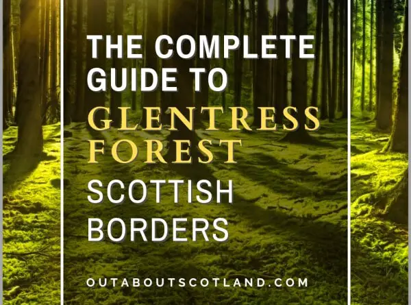 Glentress Forest