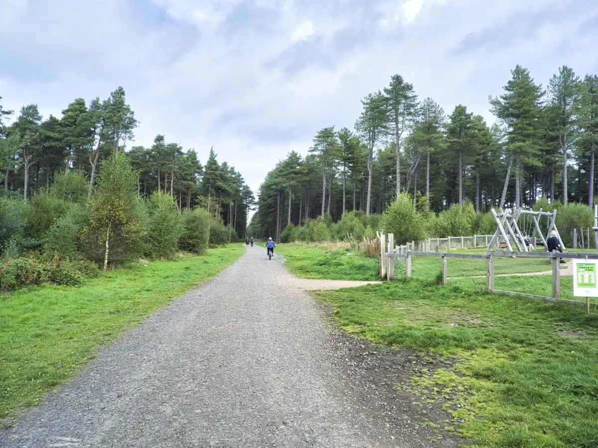 Tentsmuir Nature Reserve