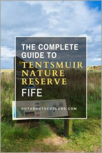 Tentsmuire Nature Reserve