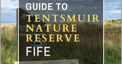 Tentsmuire Nature Reserve