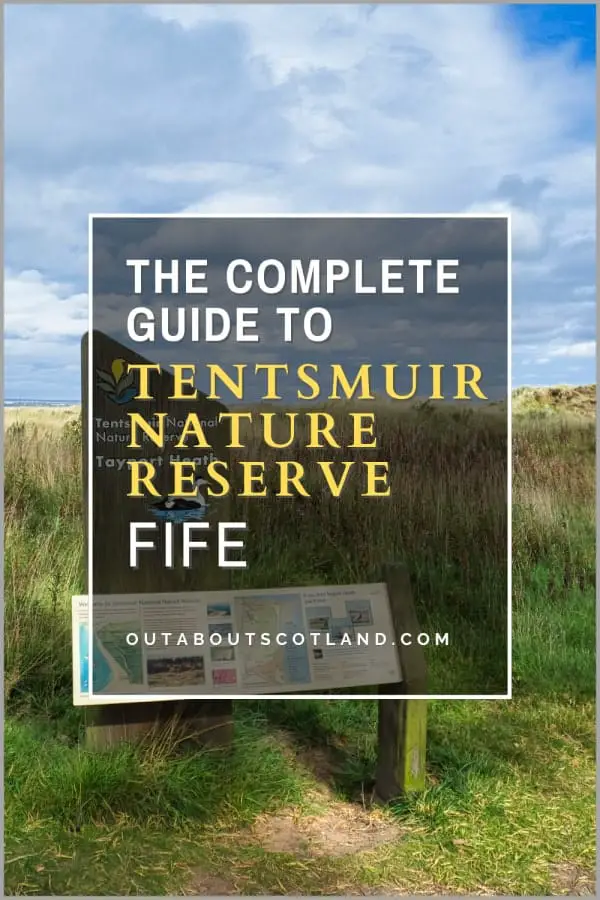 Tentsmuir Nature Reserve: Things to Do