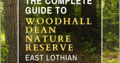 woodhall dean
