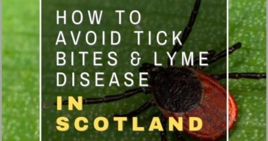 Tick bites and Lyme disease