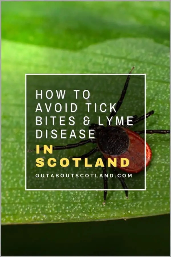 How to Prevent Tick Bites While Hiking & Camping in Scotland