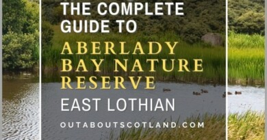 Aberlady Bay Nature Reserve