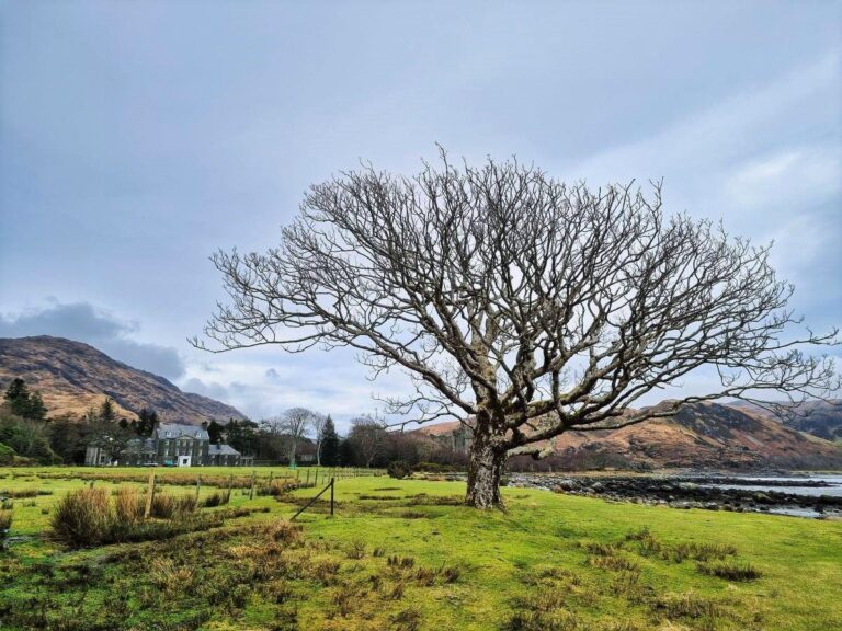 Spatial loch lomond parkswatchscotland tarbet tourism proposals Spatial loch lomond parkswatchscotland tarbet tourism proposals